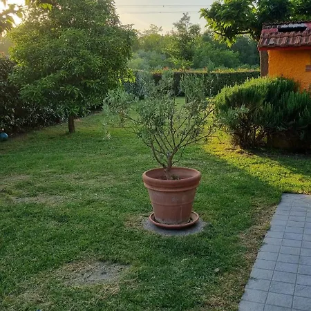 Casa Fabiani - In Toscana - Via Francigena - Pet Friendly
