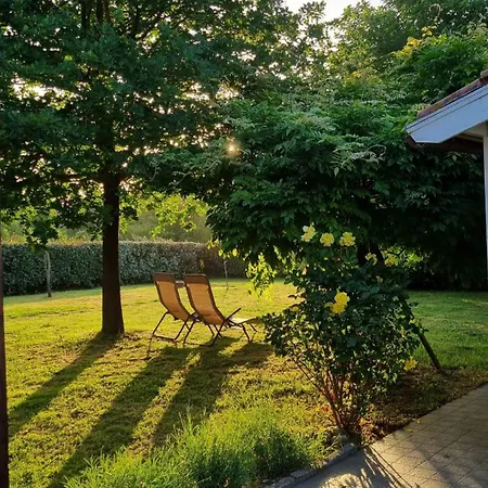 Casa Fabiani - In Toscana - Via Francigena - Pet Friendly Orentano